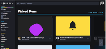 CodePen